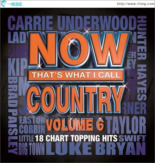 专辑封面nowthatswhaticallcountryvol6