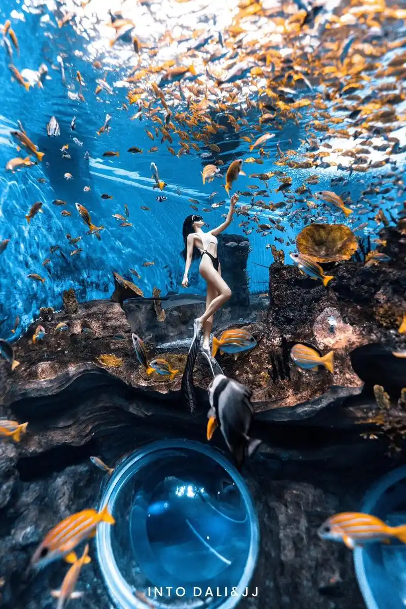 精心挑选bgm 做气质潜水女人.大海会总结去年的大海吗 浪花 - 抖音