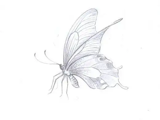 画工笔人物白描线稿纯艺术-绘画1年前工笔人物白描线稿纯艺术-绘画1年