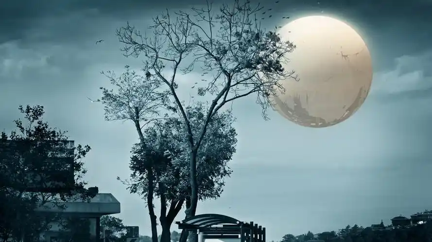 下载壁纸 1920x1080 全高清 树木,月亮,夜晚,创意设计 桌面背景