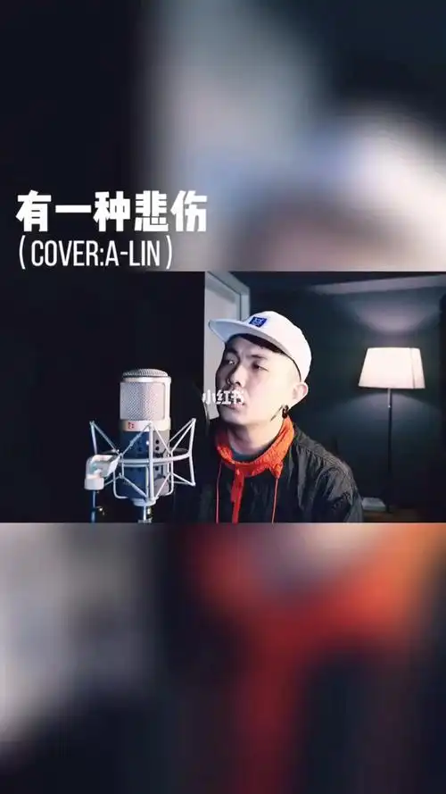 上次我很忙得到alin老师的夸奖我激动超久这次再来一首