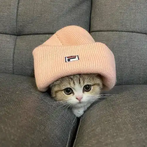 被生活可爱到了##摄影v计划