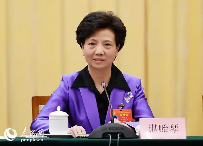 全国人大代表,贵州省委副书记,省长谌贻琴