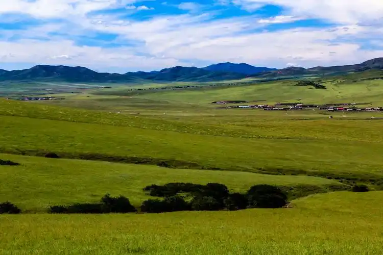 科尔沁草原和沙漠