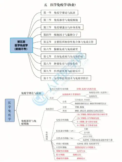 临床思维导图基础课医学免疫学