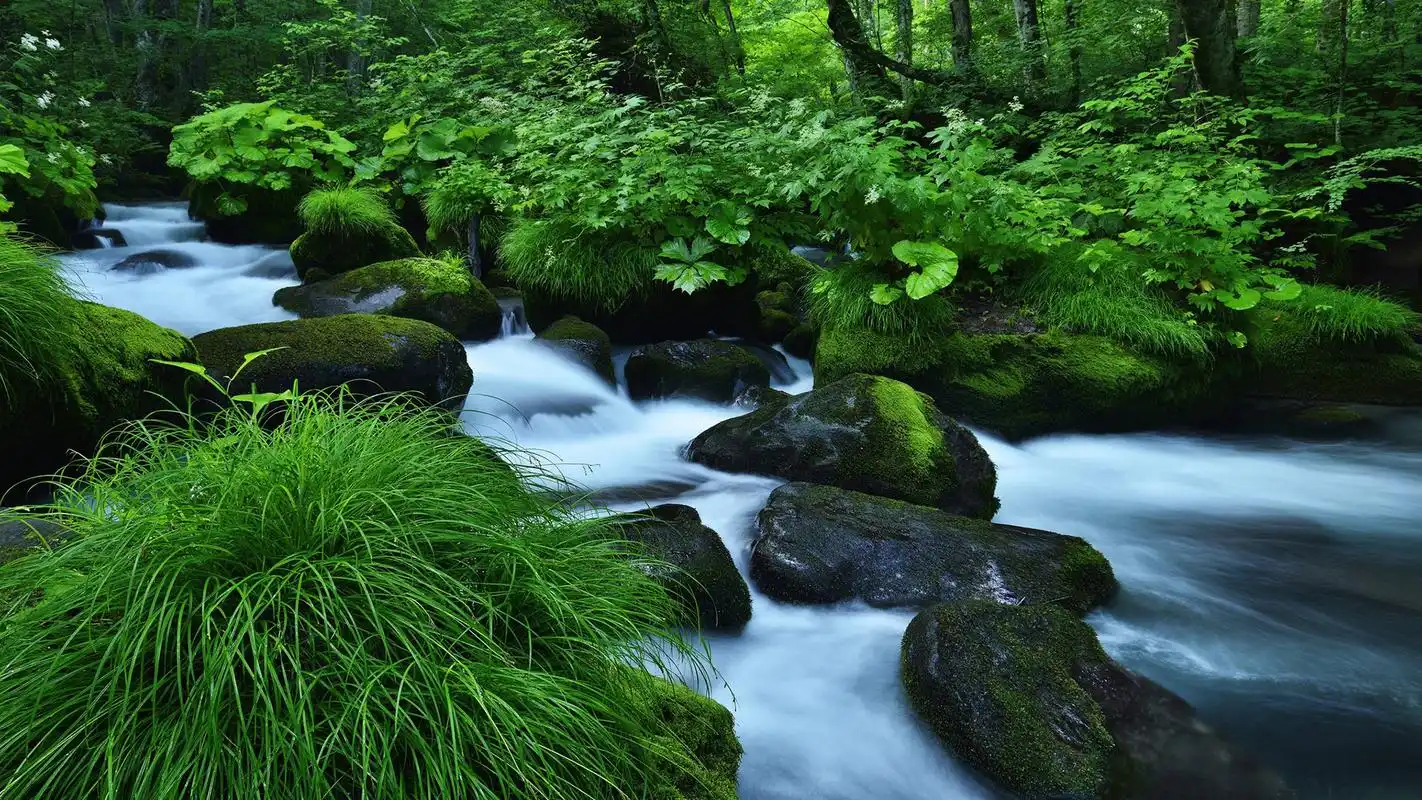 绿色清新山间溪流图片高清宽屏桌面壁纸高清大图预览1920x1080_风景壁