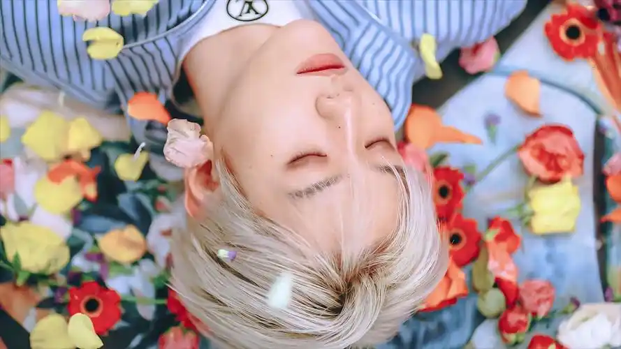 求边伯贤的无水印图