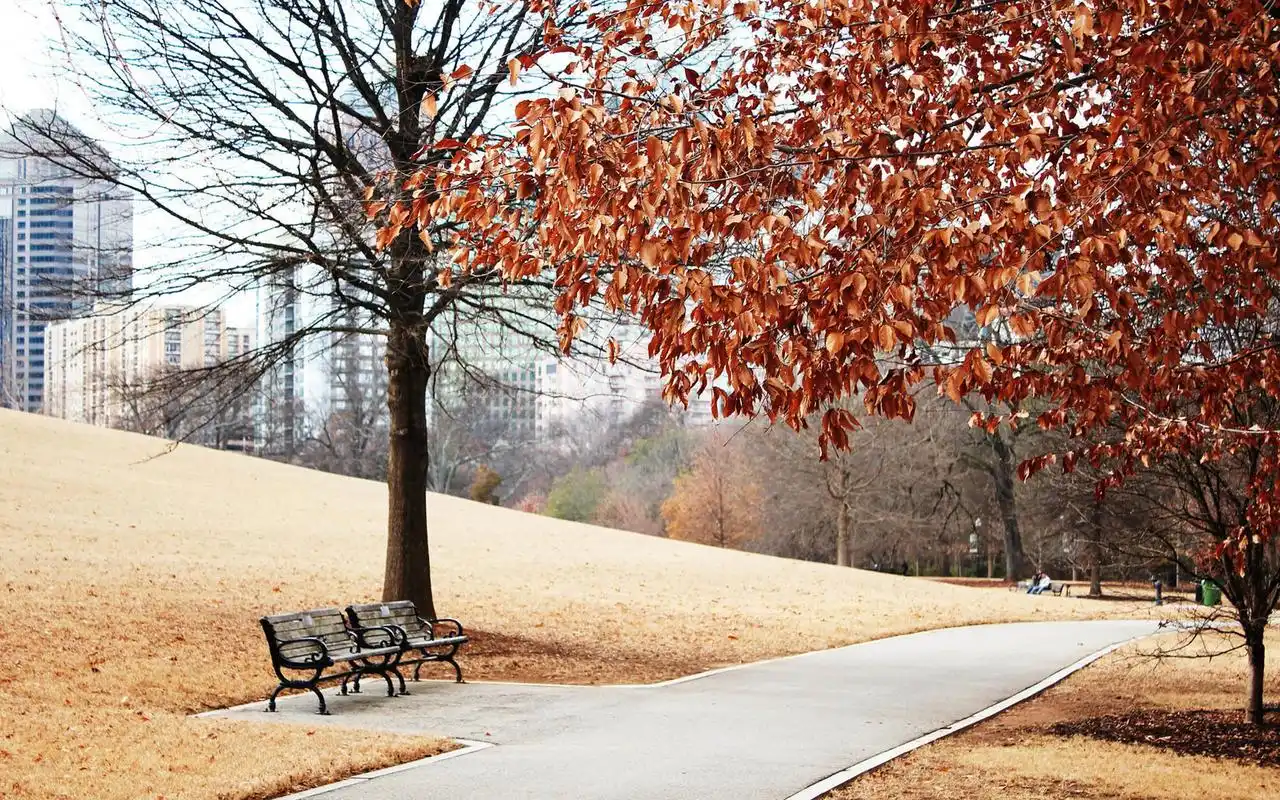 十月金秋秋天风景电脑桌面壁纸高清大图预览1920x1200_风景壁纸下载