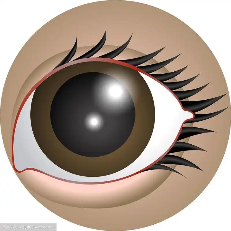 美丽的眼睛图片