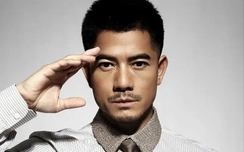 明星师哥郭富城壁纸图片(7)