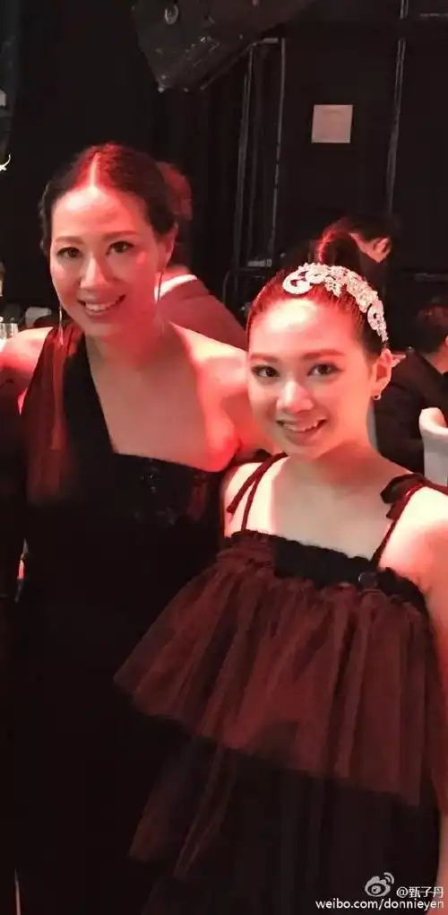 妻子怀孕时出轨的甄子丹功夫宇宙最强人品宇宙最渣