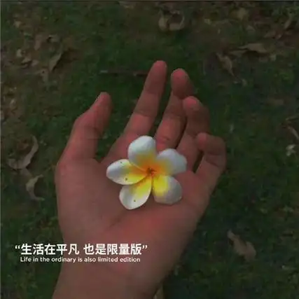 抖音短视频情感文字图片 朋友圈背景图个性化带字