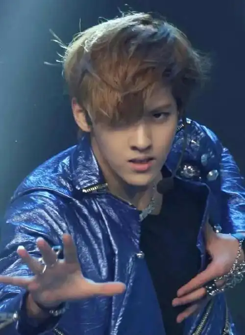 吴亦凡南韩时期的"瓜"|exo|徐静蕾_网易订阅