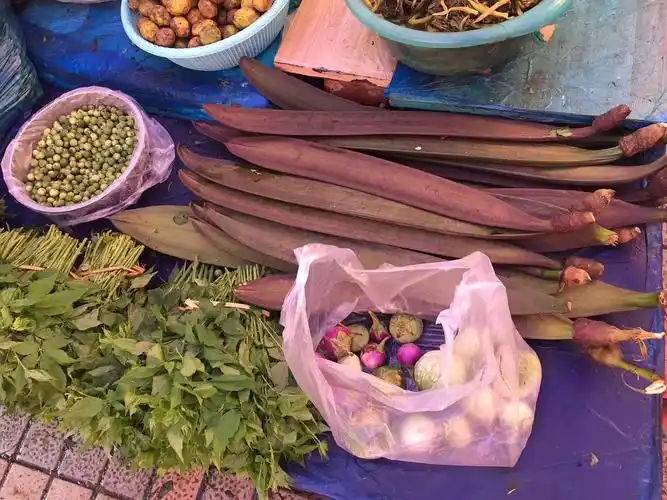 云南西双版纳菜市场