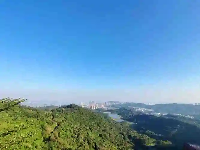 黄山鲁森林公园