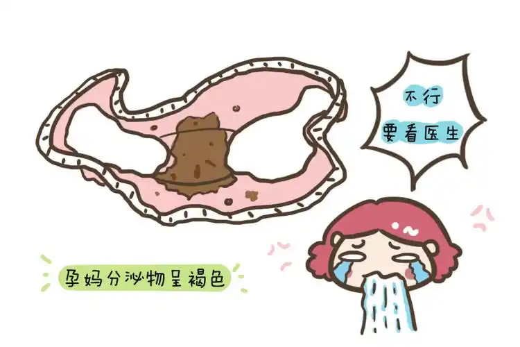 原创怀孕之后,这样观察分泌物的颜色和气味,就能准确判断身体状况!