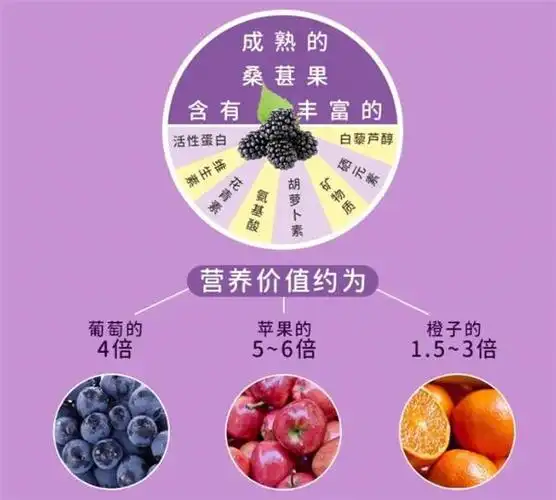 本文将探讨桑葚的功效与作