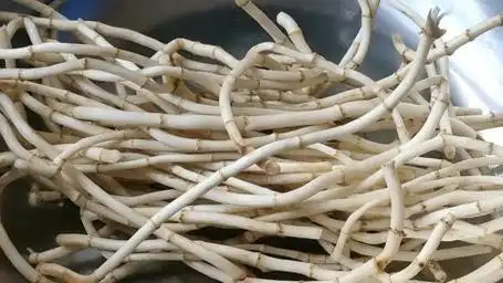 鱼腥草的正确吃法