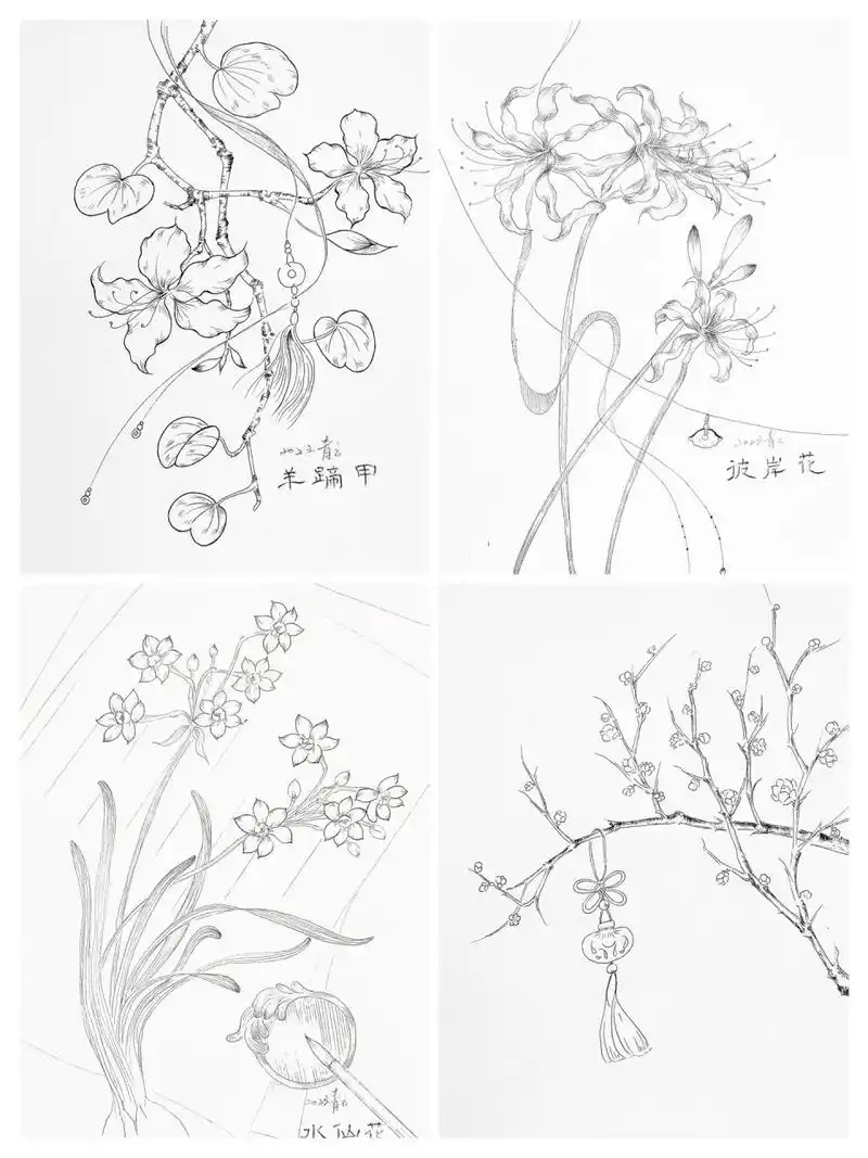 二十四节气古风花卉合集98/100 绘画素材