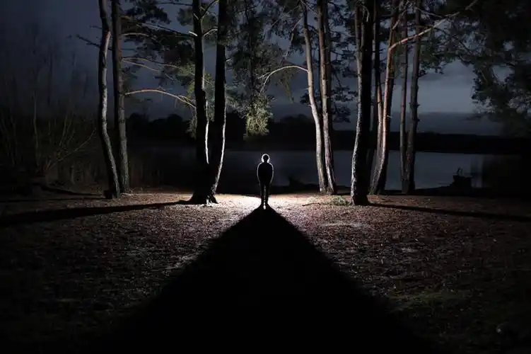 一个人,无人,站,横图,室外,夜晚,旅游,度假,神秘,湖,美景,树林,英国