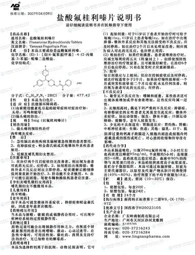 盐酸氟桂利嗪片