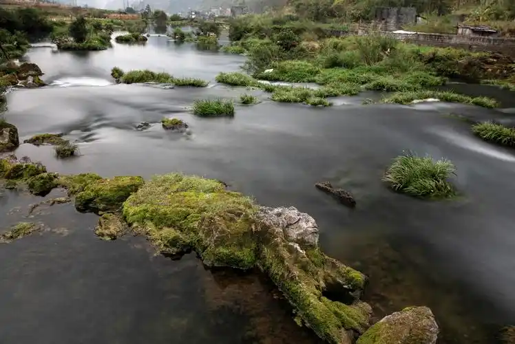 村旁有一条清澈的小河
