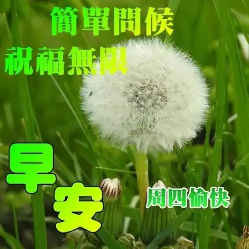 夏季早上好图片大全动态早晨好的问候语和关心句子