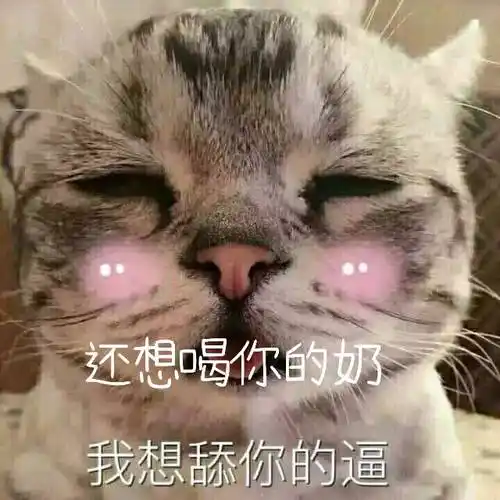 萌萌的猫咪 想喝你的奶我想舔你的逼 搞笑 可爱
