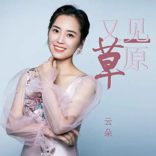 云朵 - 又见草原 (伴奏)专辑:又见草原歌手:云朵敕勒川阴山下自古就是