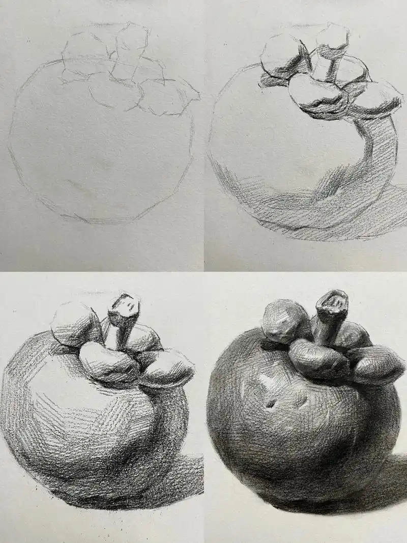 素描 #绘画教程 #素描静物#素描教程 - 抖音