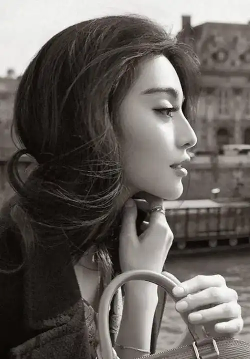 范冰冰女神之路并不平坦人生成功绝非偶然顶尖数据一览