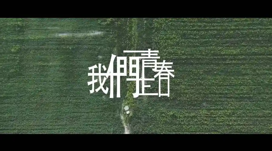 我们正青春 - 新片场