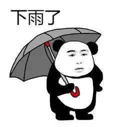 雨!来!了!未来两天,宜宾地质灾害的风险较高!这些地方需注意