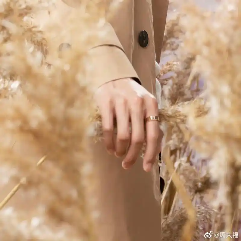 王凯先生的手,可不是吹的,这是艺术品.王凯老师的手,是被公认 - 抖音