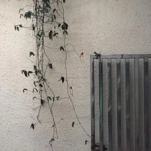 ins潮图朋友圈背景图高质量神仙背景