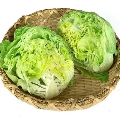 球生菜10斤汉堡用圆形生菜新鲜蔬菜轻食沙拉材料色拉菜顺丰包邮