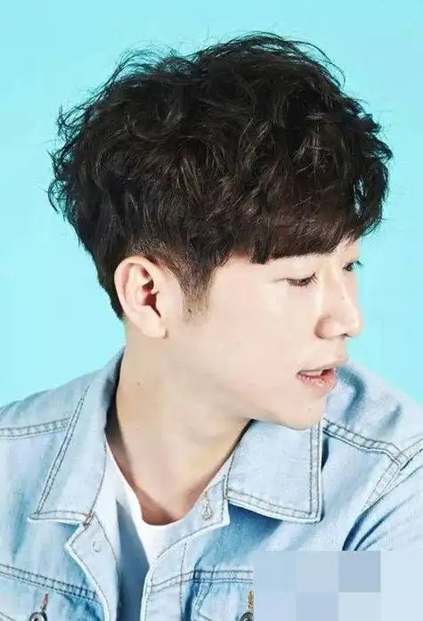 纹理烫短发图片男(纹理烫短发图片男士)-天晟网