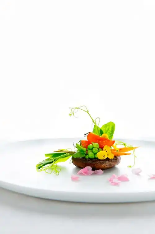 大董精品创意菜_意境_菜品_艺术