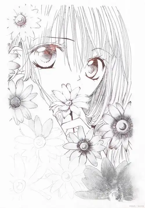 一文详解动漫手绘基础知识及入门技巧