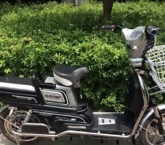 实图,低价转让不到一个月的崭新的48v20a新本刚田款