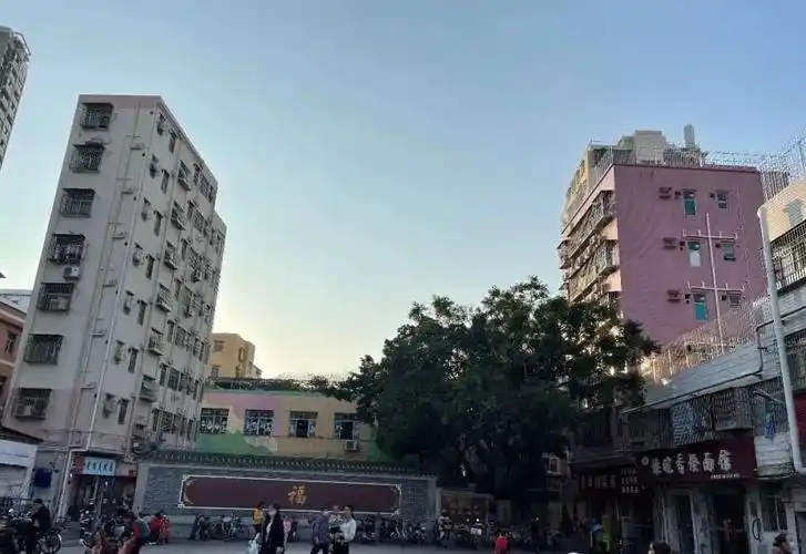 深圳南山旧改南园村八百年历史旧村历史重燃远洋操盘