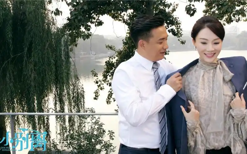 陈数小别离陈洁cut1080p