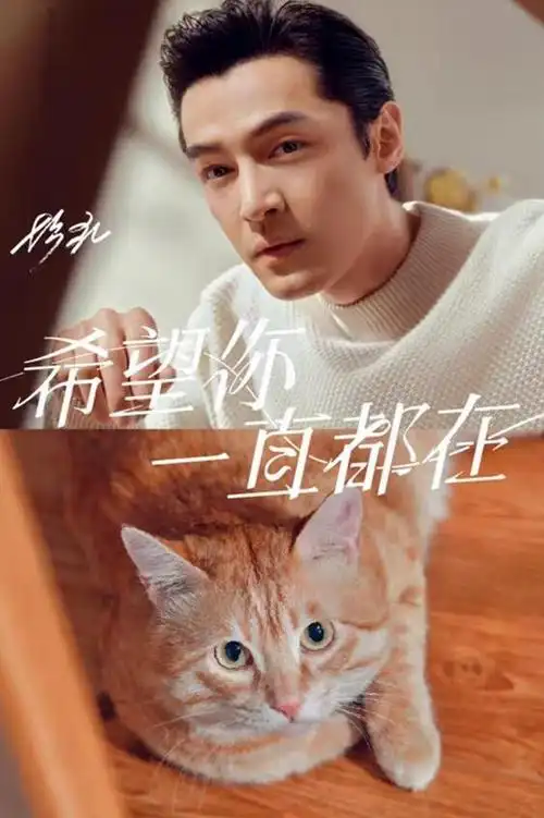 胡歌代言猫粮,却被网友翻旧账:没想到你是这样的人
