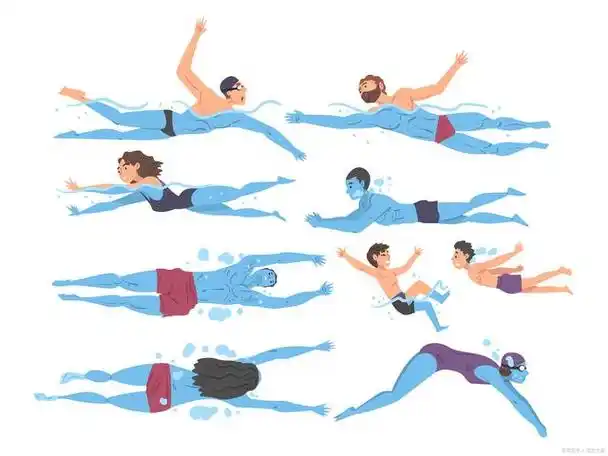 自由泳正确的姿势