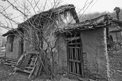 补助标准公开,申请条件公开,审批程序和审批结果公开,接受社会监督