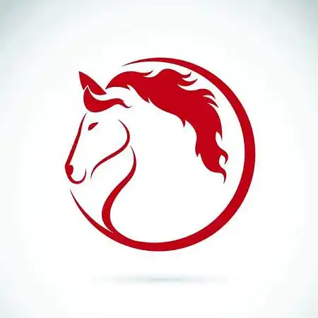 马的图片_图片大全