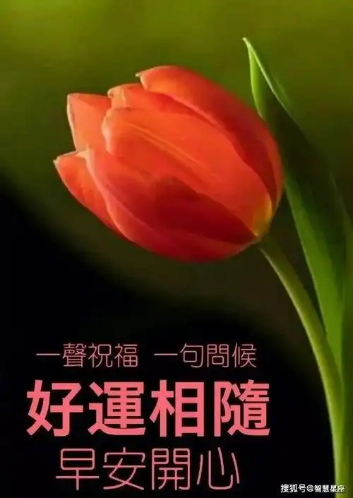 6月24日非常漂亮早晨好表情图片大全 2021牛年祝福语动图早晨好
