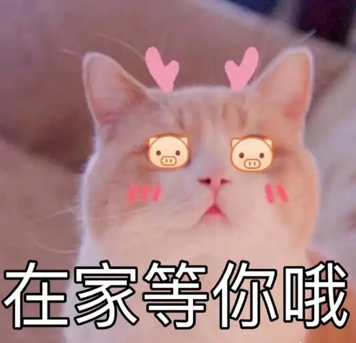 萌宠gif猫星人gif在家等你哦gif期待gif呆萌gif可爱gif