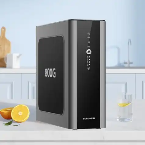 志高chigo净水器家用直饮800g净水机全屋净水器ro反渗透厨房自来水