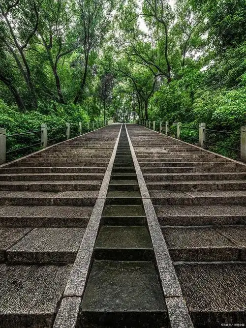 上海佘山一日游攻略,带你领略山林魅力和城市品质